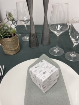 Geschenkbox Fische (silber)